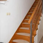 Roski * Bogatić